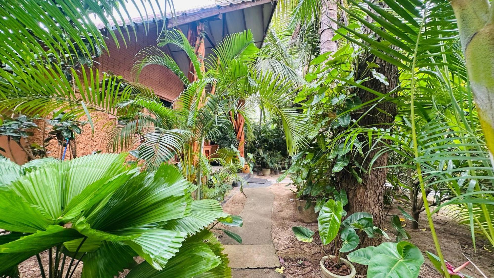 Ama Eco Lodge Sigirîya Extérieur photo