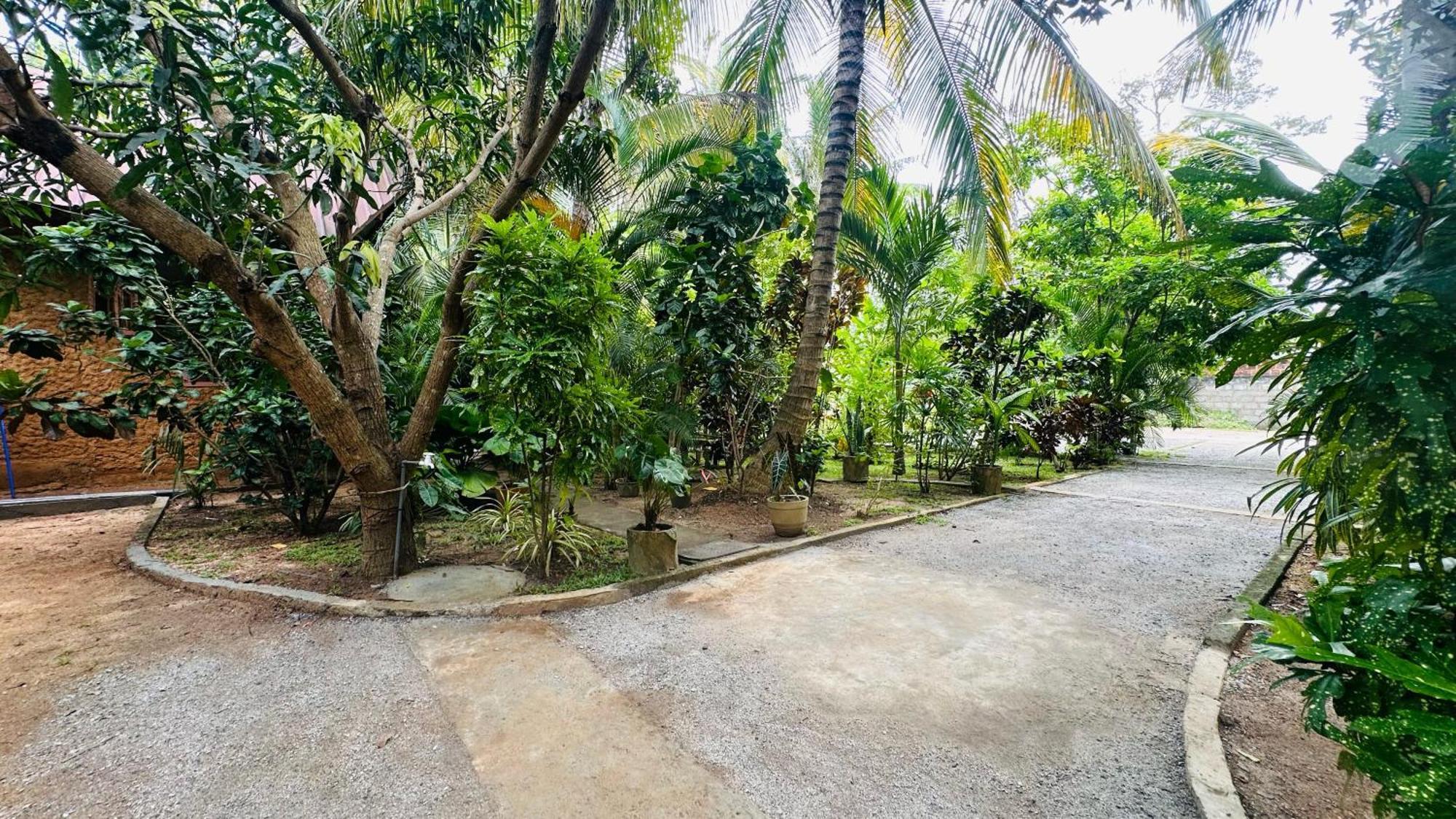 Ama Eco Lodge Sigirîya Extérieur photo