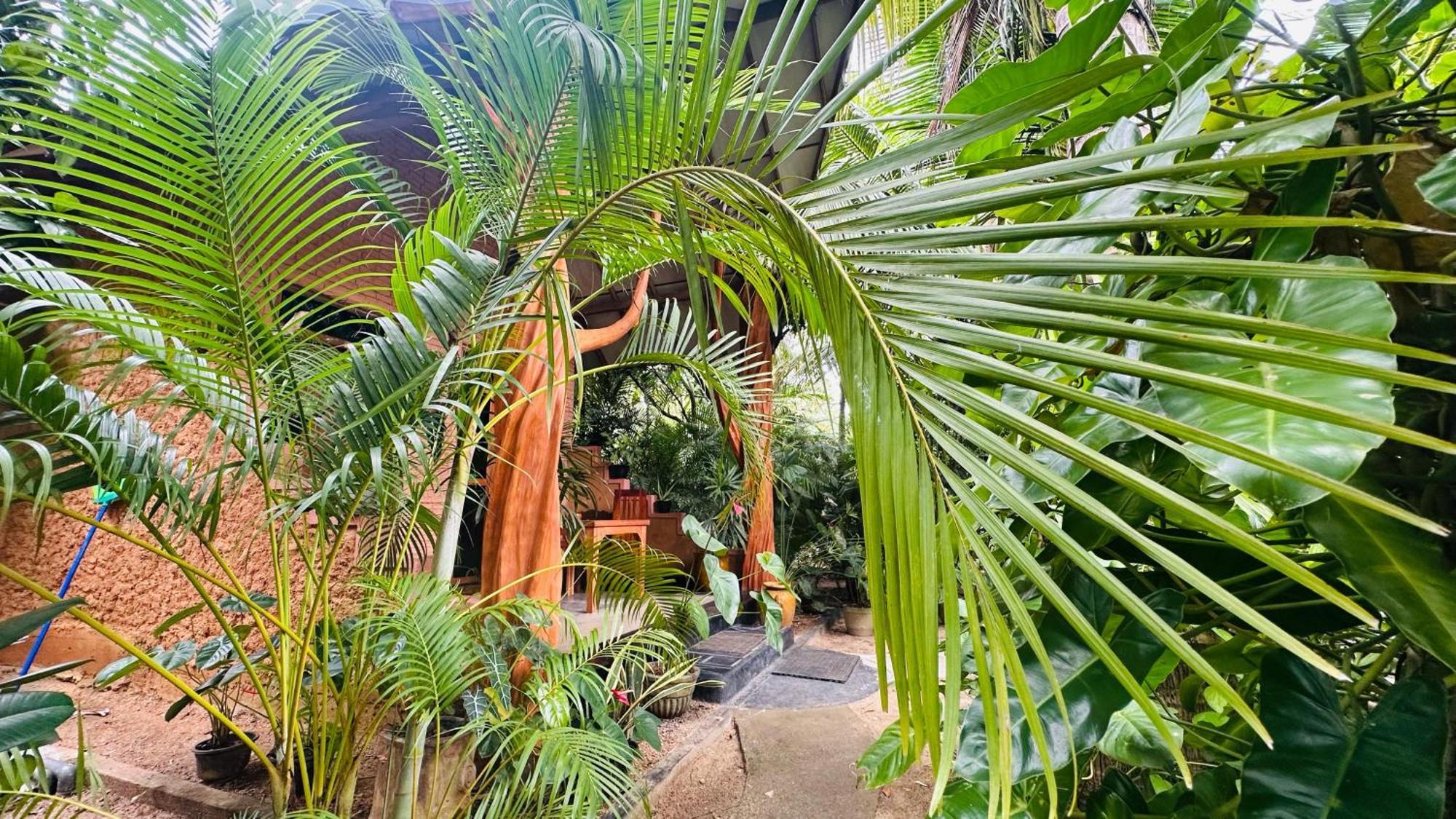 Ama Eco Lodge Sigirîya Extérieur photo